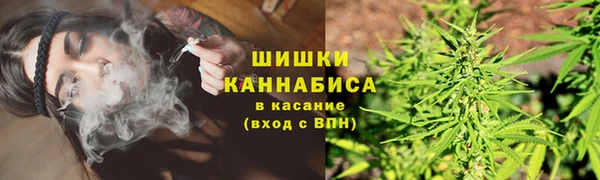 PSILOCYBIN Алексин