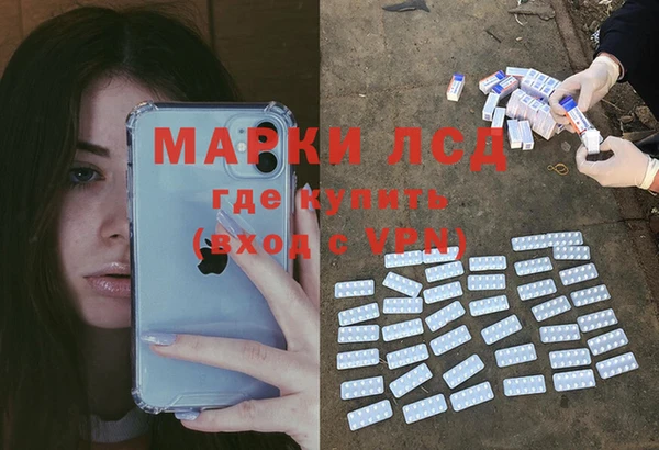 ГАЛЛЮЦИНОГЕННЫЕ ГРИБЫ Абаза