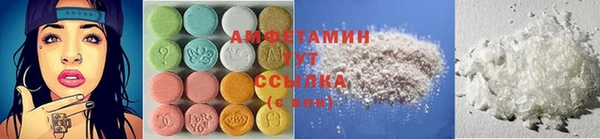 ГАЛЛЮЦИНОГЕННЫЕ ГРИБЫ Абаза
