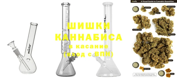 ГАЛЛЮЦИНОГЕННЫЕ ГРИБЫ Абаза