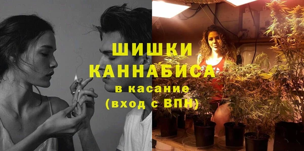 PSILOCYBIN Алексеевка