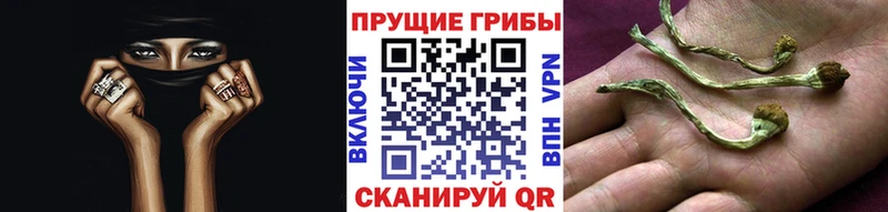 Псилоцибиновые грибы ЛСД  цена   Павловский Посад 
